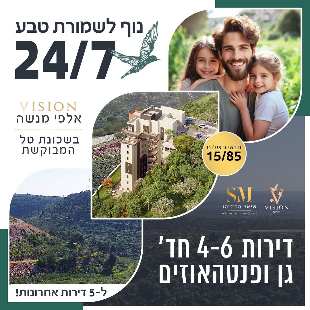 פוסט VISION 4