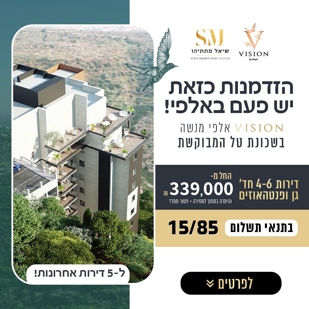 פוסט VISION: תנאי התשלום