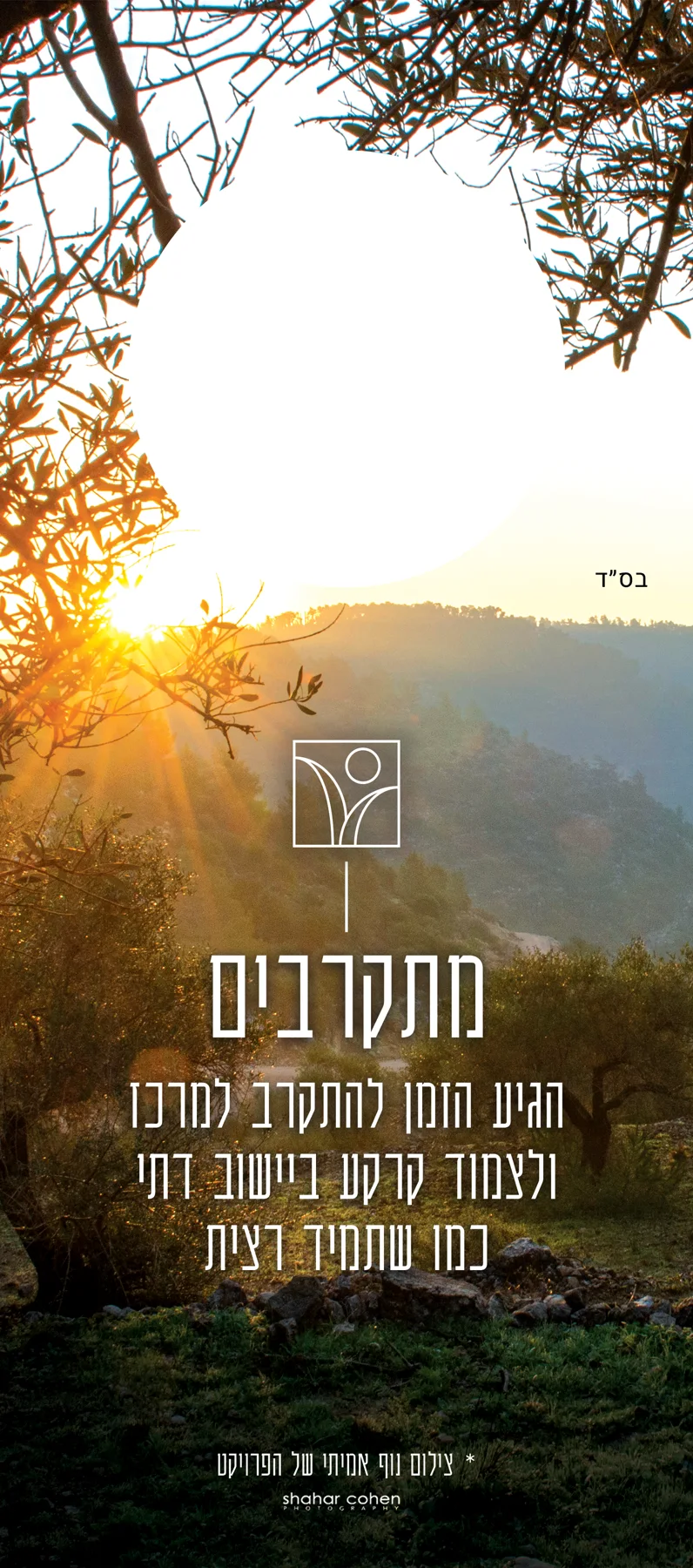 הצד האחורי של תלי הדלת, שקיעה מבעד לעצי זית ומילה אחת